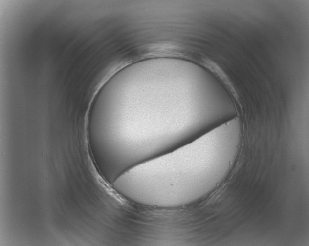 X0000063531386200601201140