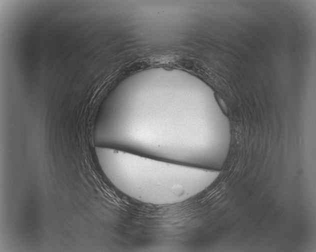 X0000063531393200601201139
