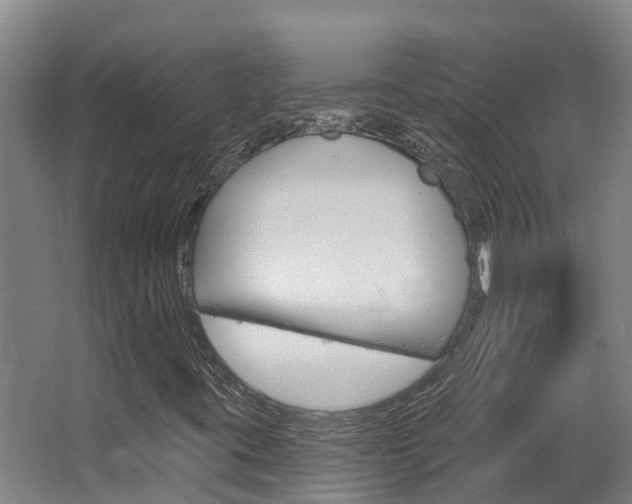 X0000063531395200601201139