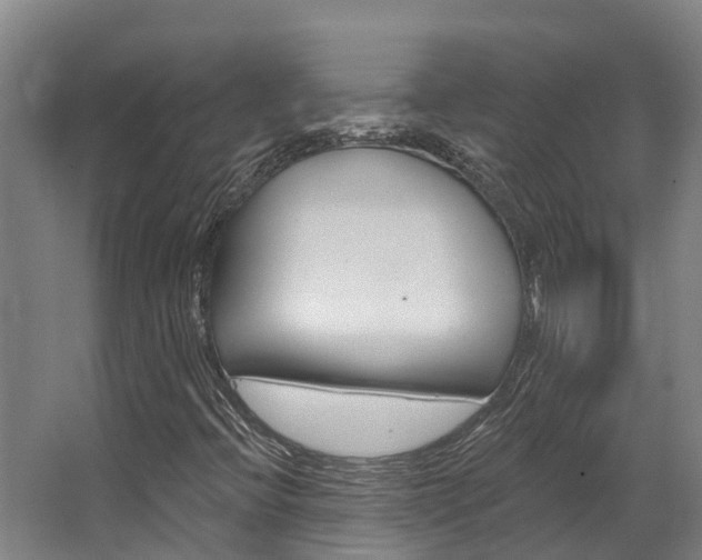 X0000063531396200601201139