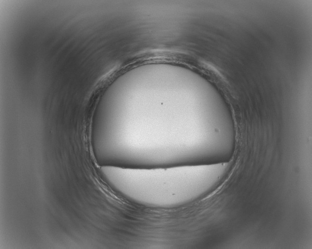 X0000063531403200601201139
