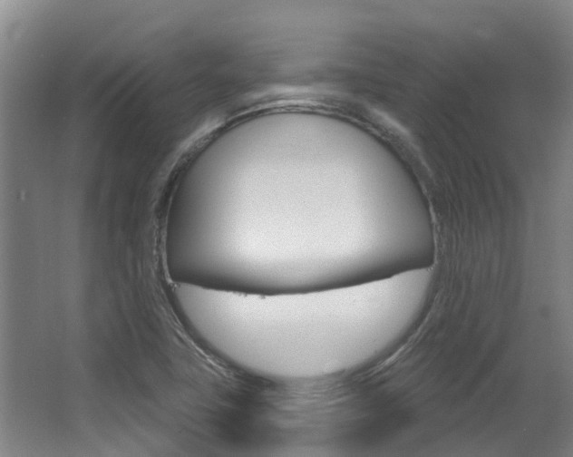 X0000063531411200601201139