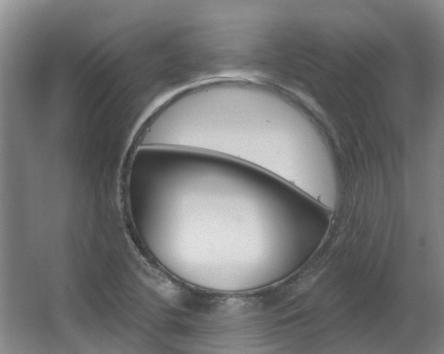X0000063531412200601201139