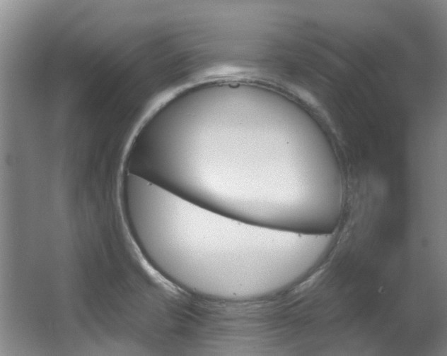 X0000063531421200601201140