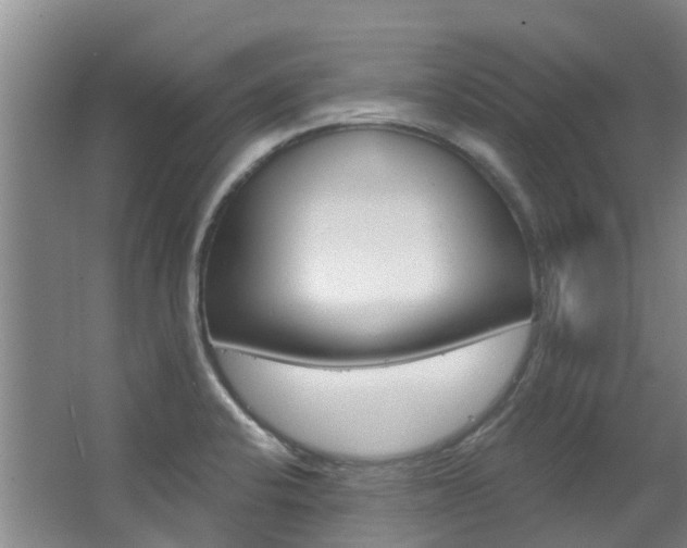 X0000063531424200601201140