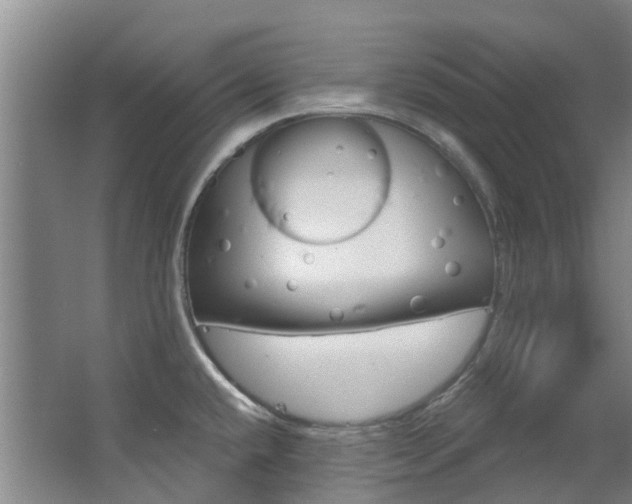 X0000063531432200601201140