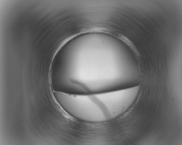 X0000063531436200601201140