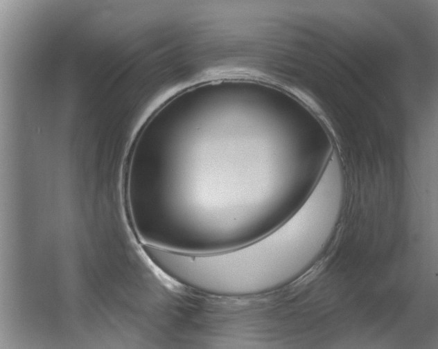 X0000063531438200601201140