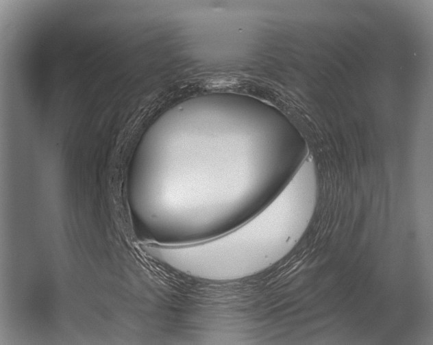 X0000063531441200601201139