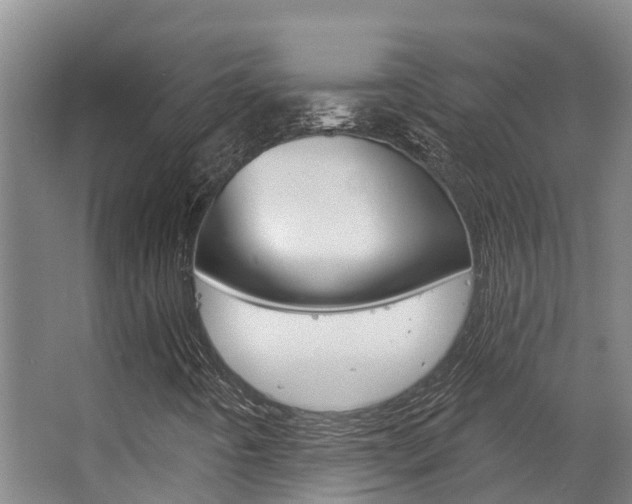 X0000063531442200601201139