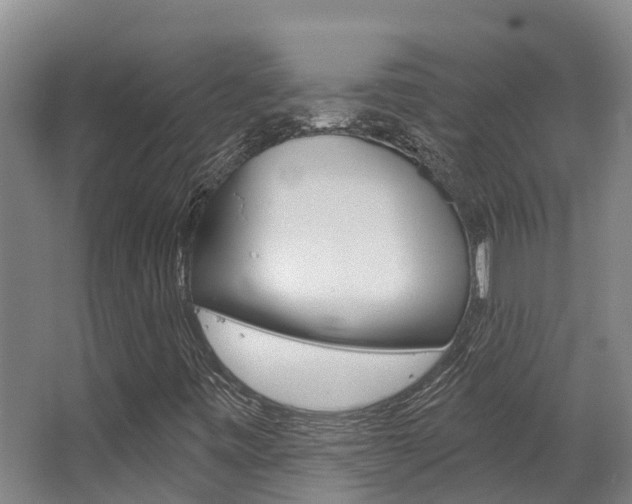X0000063531443200601201139