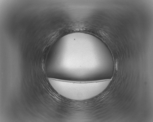 X0000063531444200601201139