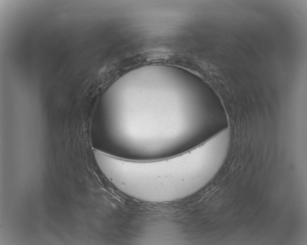 X0000063531445200601201139