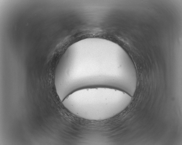 X0000063531447200601201139