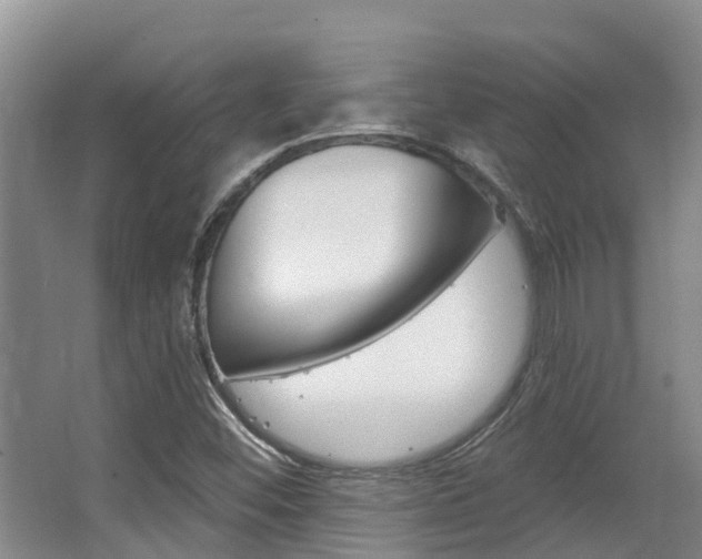 X0000063531452200601201139