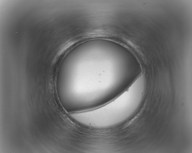 X0000063531453200601201139