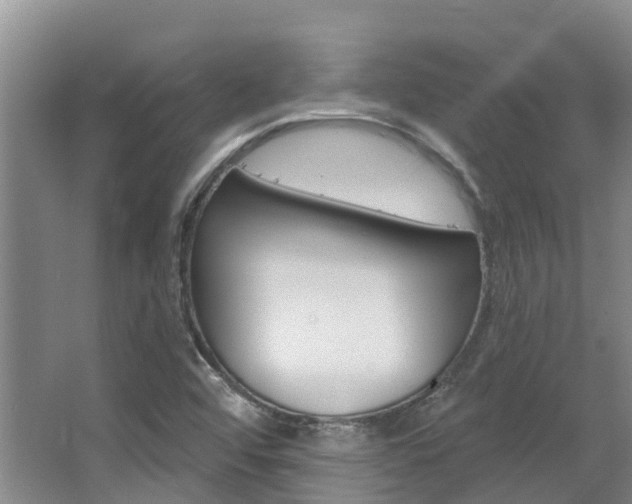 X0000063531456200601201139