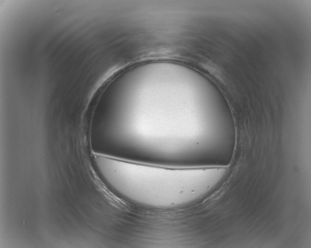 X0000063531458200601201139
