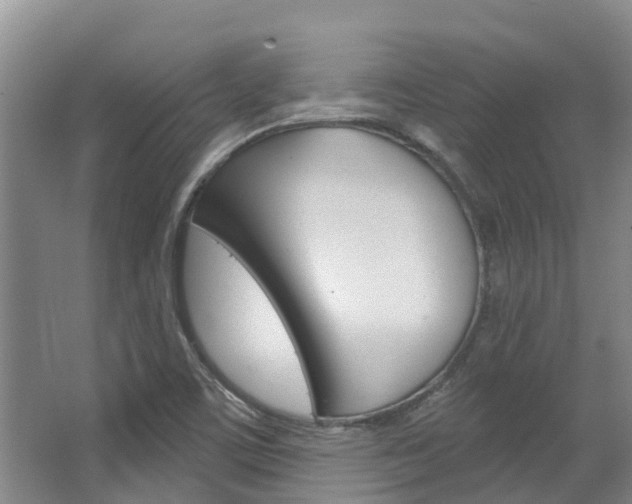 X0000063531459200601201139