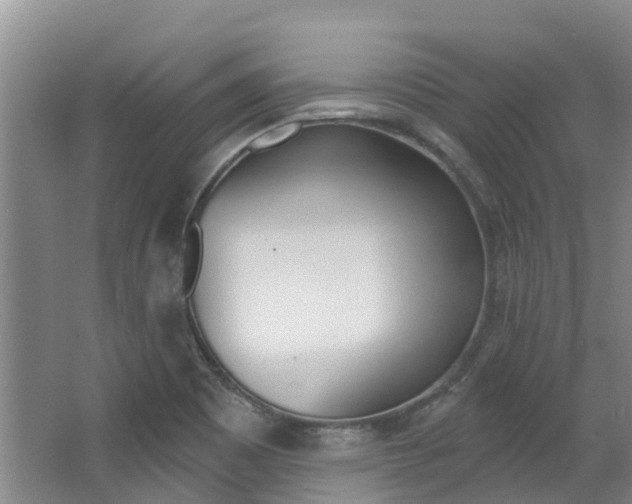 X0000063531465200601201139
