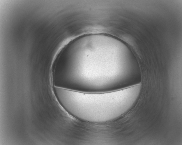 X0000063531472200601201139