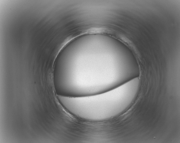 X0000063531473200601201139