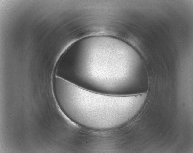 X0000063531476200601201138