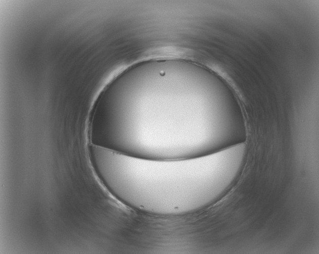 X0000063531477200601201138