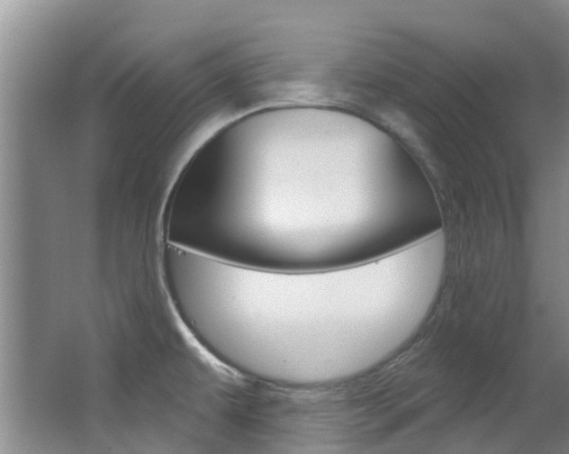 X0000063531479200601201138