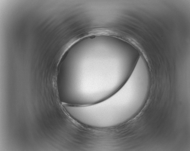 X0000063531481200601201138