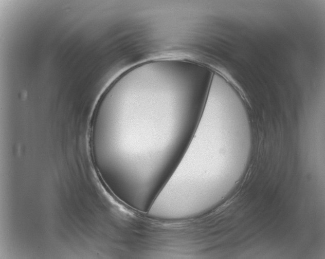 X0000063531484200601201138