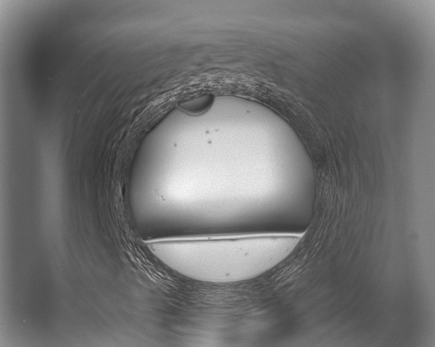 X0000063531489200601201137