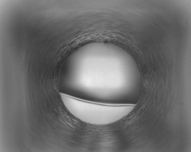 X0000063531490200601201137