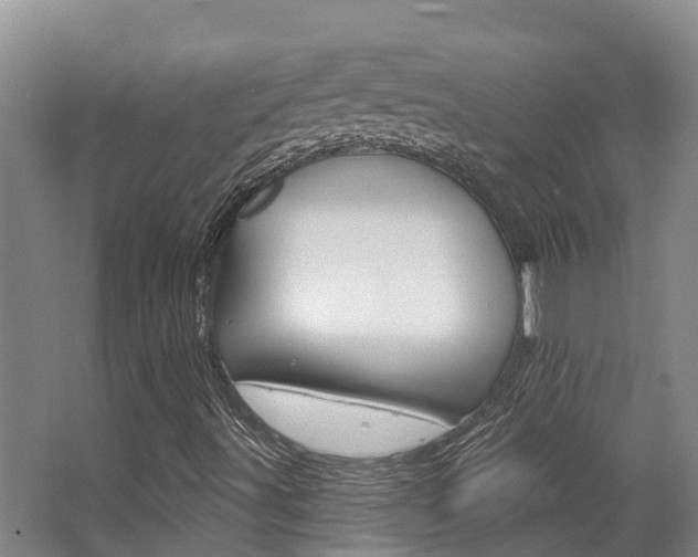 X0000063531491200601201137