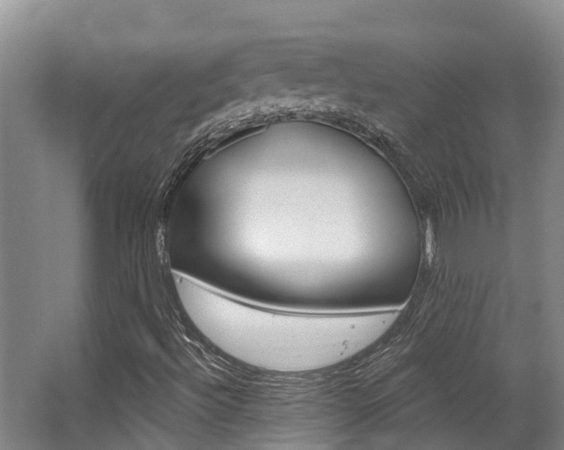 X0000063531492200601201137