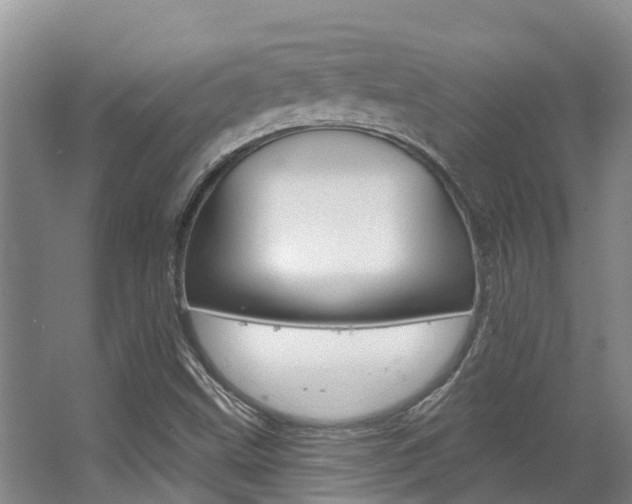 X0000063531499200601201138