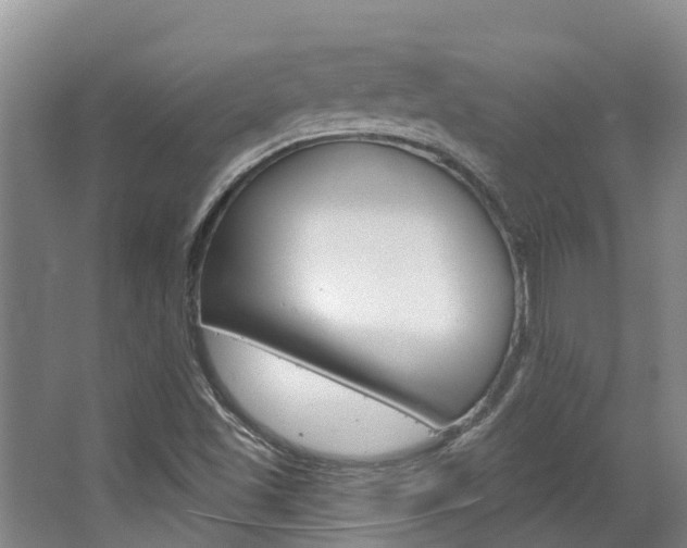 X0000063531501200601201138