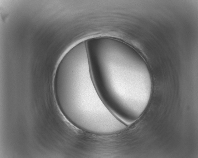 X0000063531516200601201138