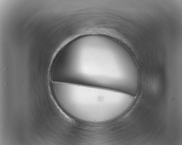 X0000063531517200601201138