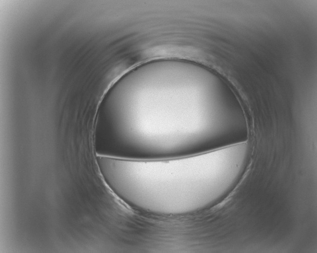 X0000063531529200601201138