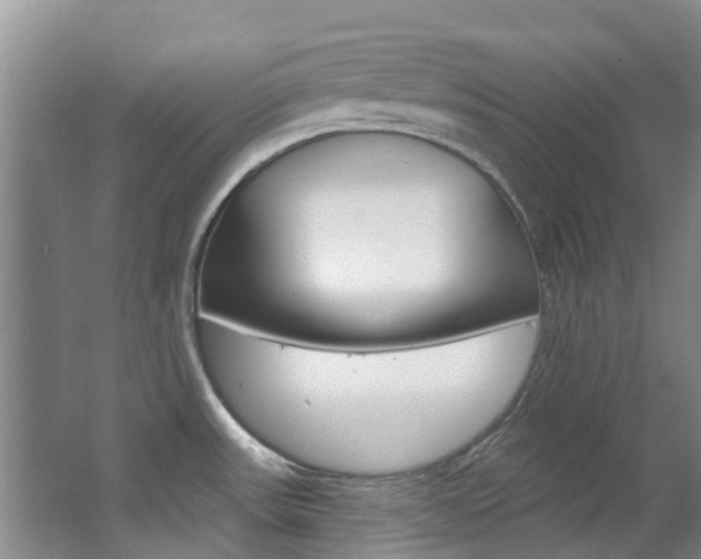 X0000063531531200601201138
