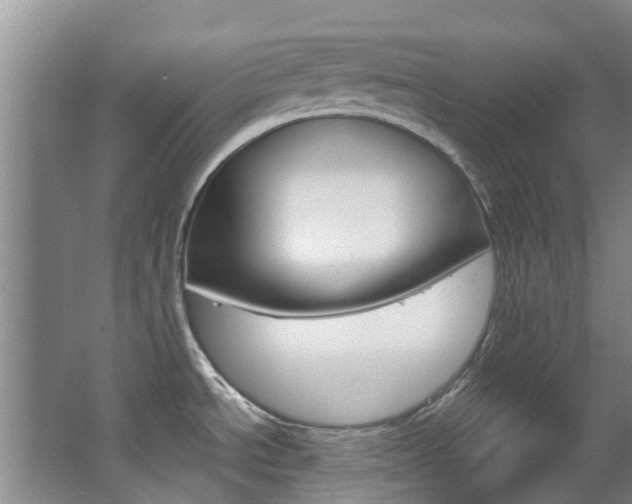 X0000063531534200601201138