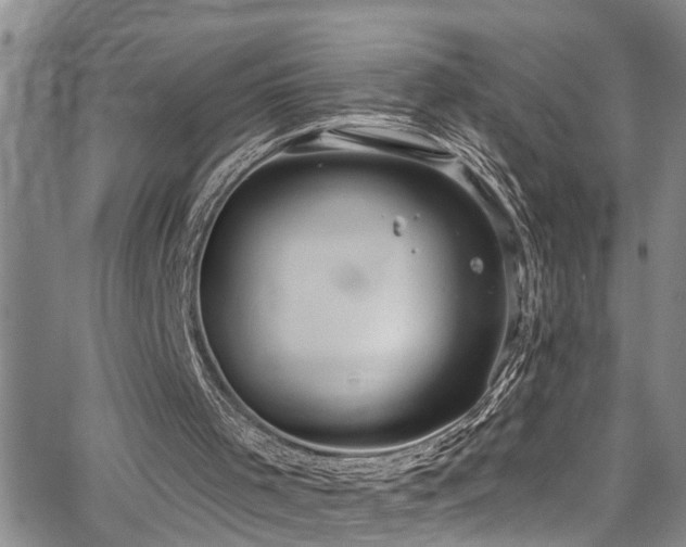 X0000063530001200601201510