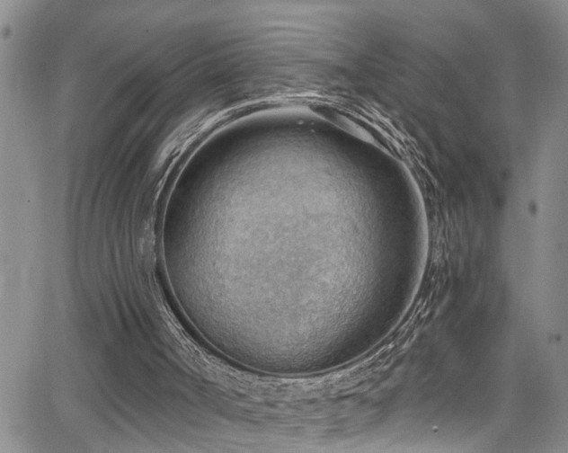 X0000063530002200601201510