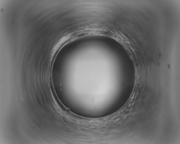 X0000063530003200601201510