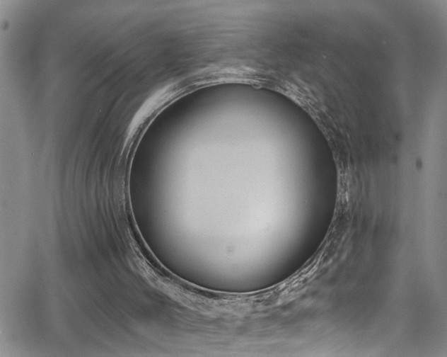 X0000063530004200601201510