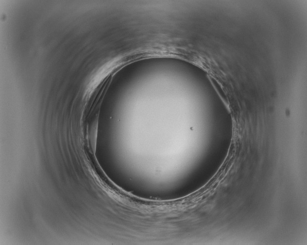 X0000063530005200601201510