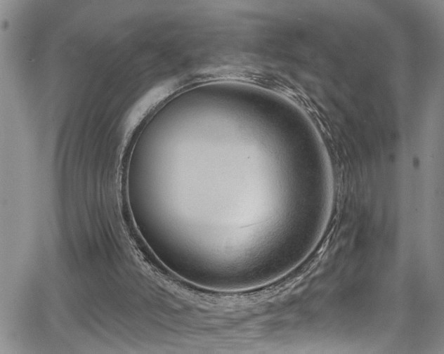 X0000063530006200601201510