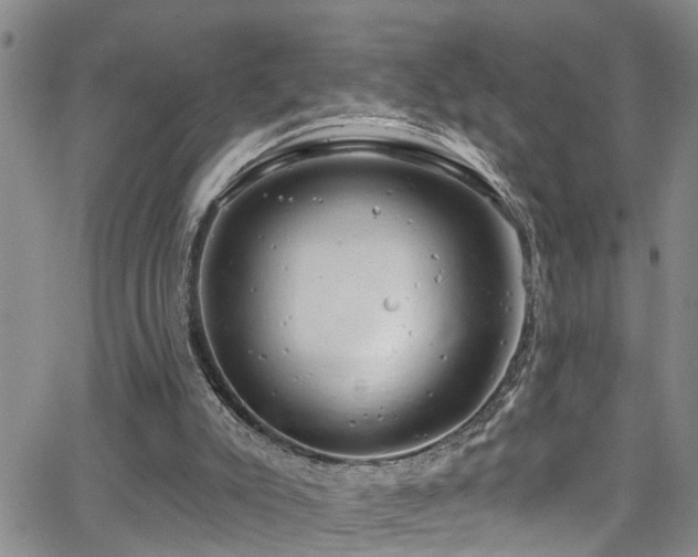 X0000063530007200601201510