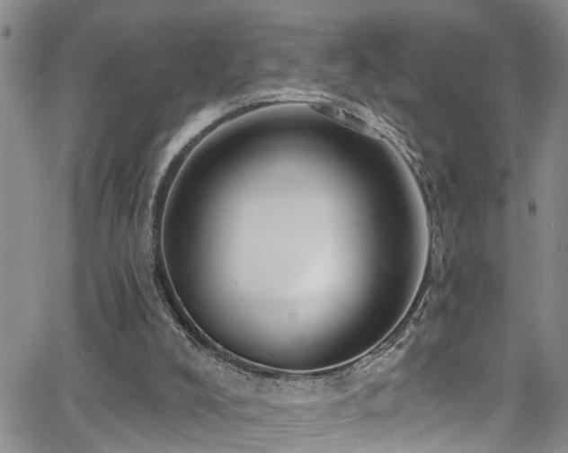 X0000063530008200601201510